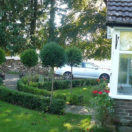 Forest View B&B Landford Εξωτερικό φωτογραφία