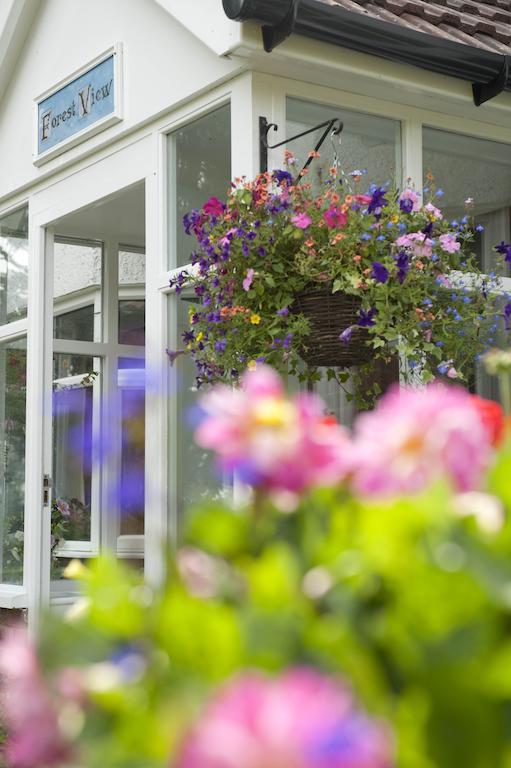 Forest View B&B Landford Εξωτερικό φωτογραφία