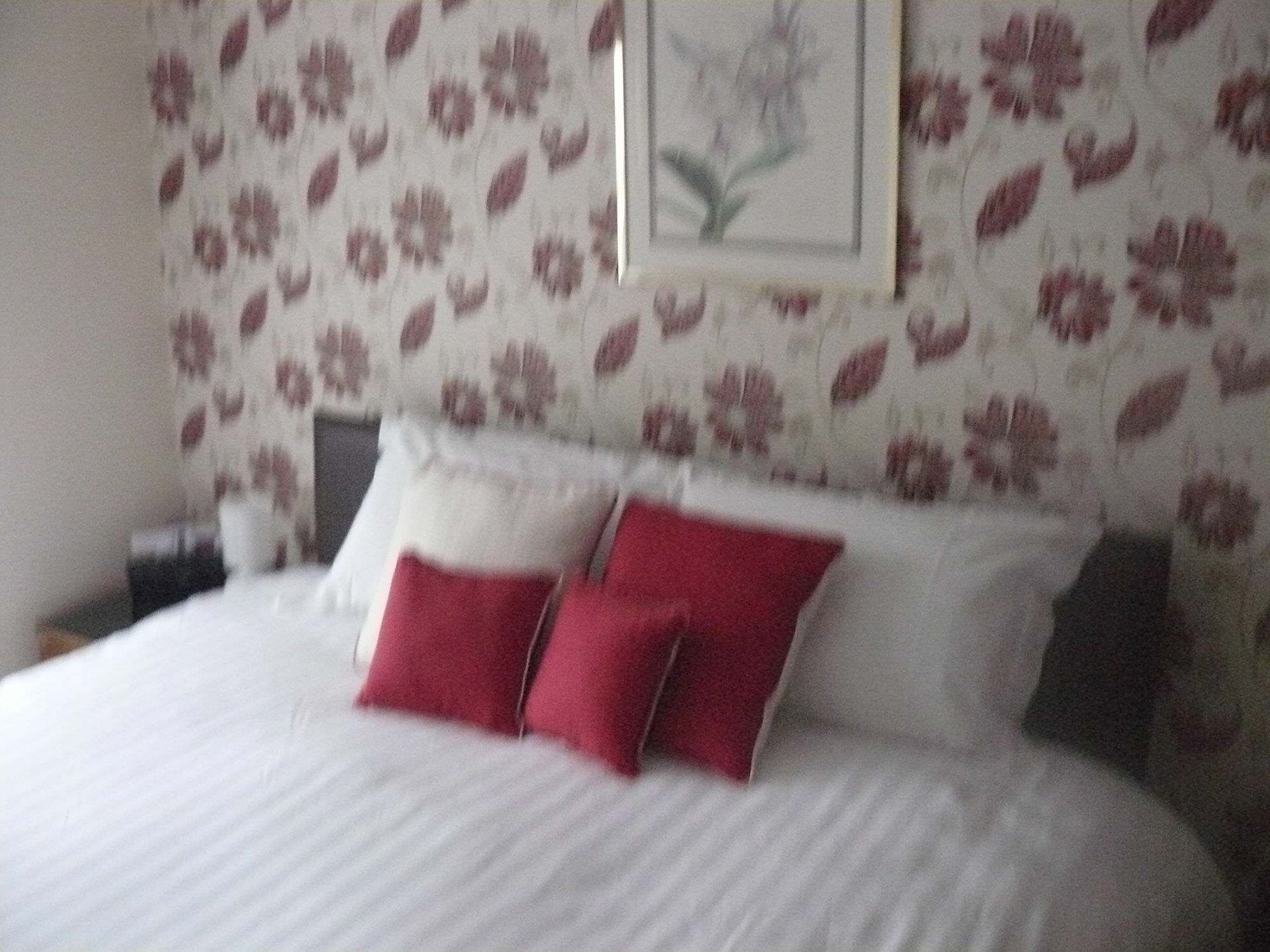 Forest View B&B Landford Εξωτερικό φωτογραφία